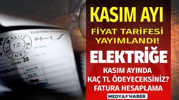 Elektrik faturam ne kadar gelecek diyenler için Kasım ayı tarifesi açıklandı elektriğe zam geldi mi?