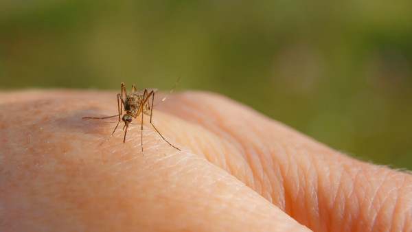Sıcak havalar kronik hastalar için tehlike çanlarını çalıyor: Uzmanlardan Diyabet hastalarına sivris