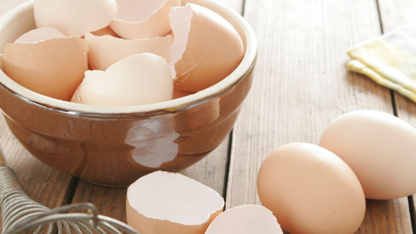 Yumurta kabuklarını çöpe atmadan önce iki defa düşünün...
