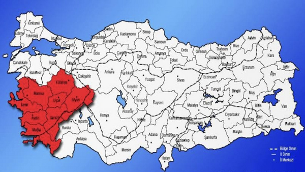 Tek Canlı Bırakmayacak! Aydın, Uşak, Çanakkale ve İzmir Diken Üstünde.. Mavi Felakete Acil Önlem!