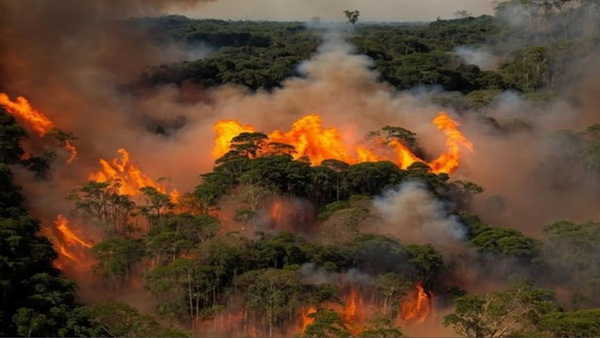 Şaşırtan Görsel: Yangın Fotoğrafına Bakan Herkes Aynı Kişiyi Görüyor!