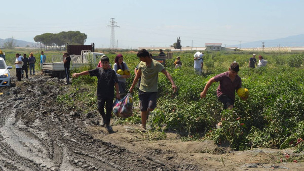 600 Ton Kavun ve Karpuzu Ücretsiz Dağıttılar