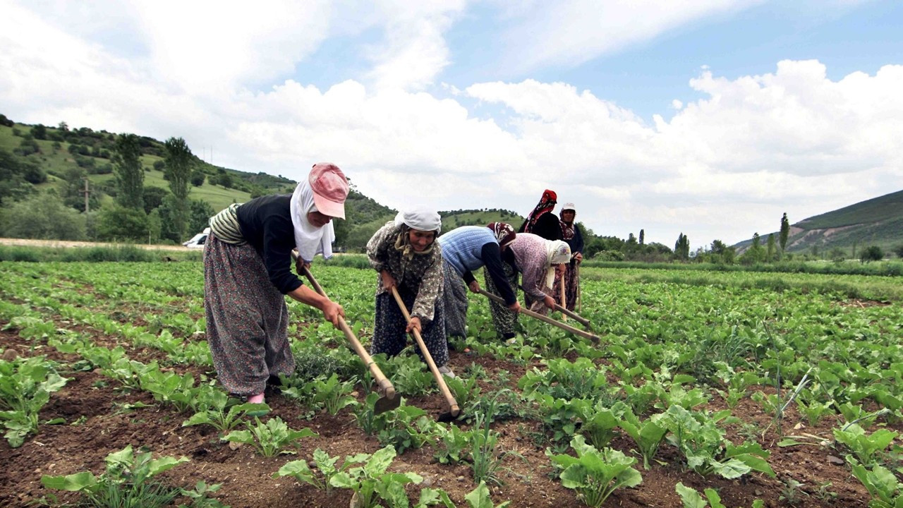 Kefaletsiz, Faizsiz, Limitsiz Kredi Paketi Duyuruldu! Tarım Kredi Çiftçinin Cebini Rahatlatacak! - Resim : 1