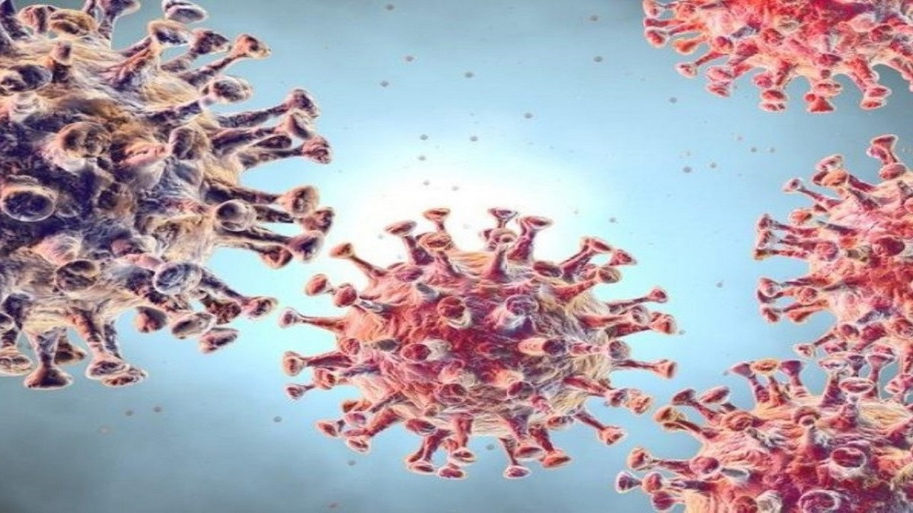 Koronavirüs Salgınında Yeni Döneme Hazır Mısınız? Uzmanından Altın Değerinde Tavsiyeler - Resim : 1