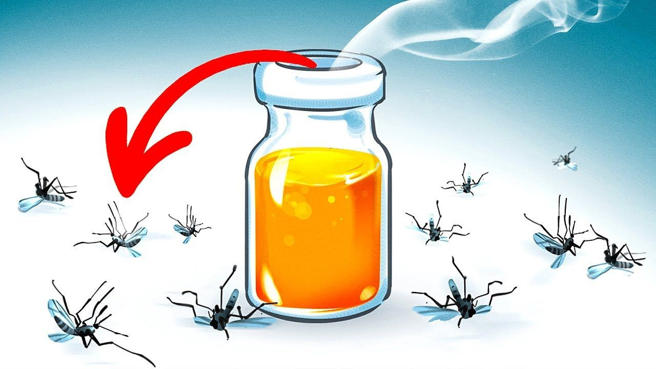 Ev ve iş yerindeki sivrisinek kabusuna son! Sivrisinek kovucu doğal koku ve karışımlar - Resim: 3