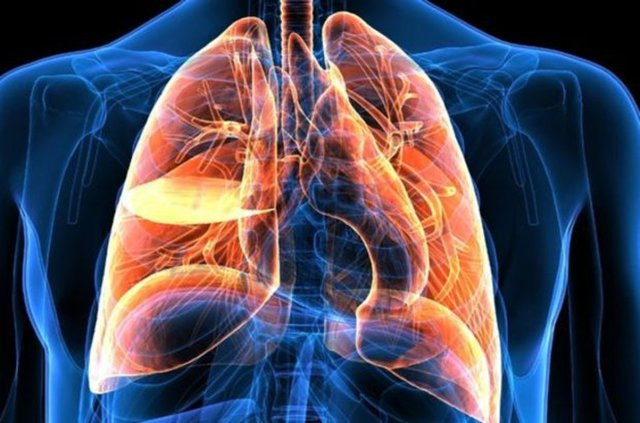 Doktorlar akciğer kanseri belirtileri için yeni açıklama yaptı bu 5 işarete dikkat! - Resim : 1