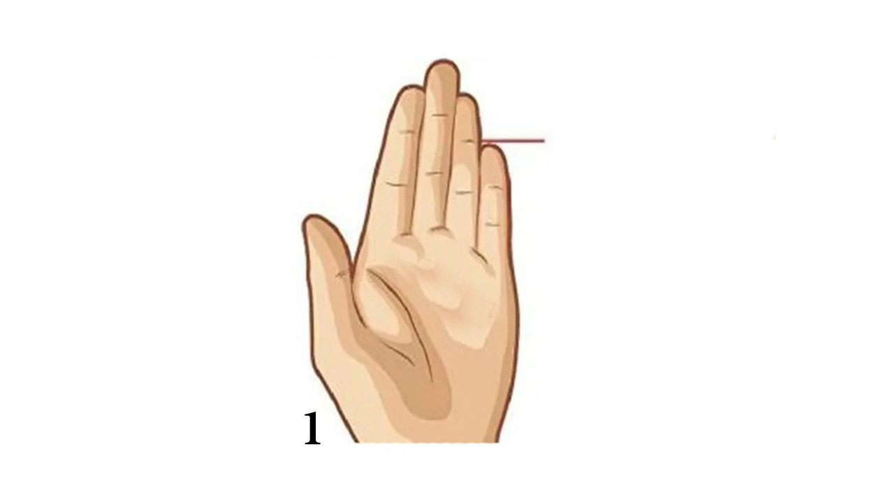 Parmaklarınız Sizi Ele Veriyor: Kişilik Analizi için Parmak Şekli Testi - Resim : 2