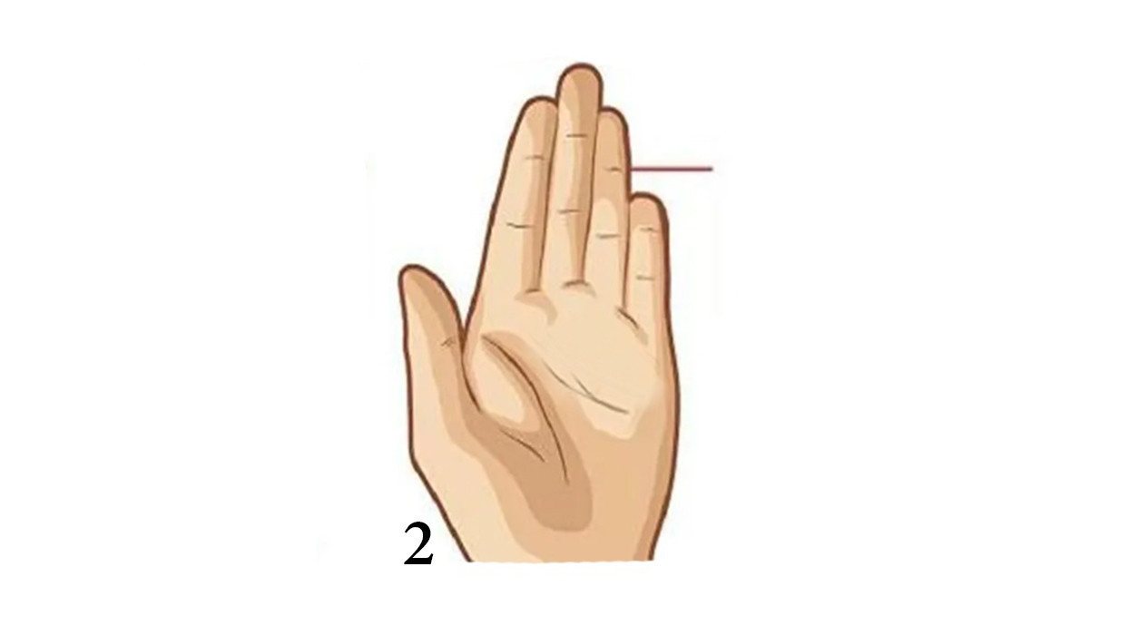 Parmaklarınız Sizi Ele Veriyor: Kişilik Analizi için Parmak Şekli Testi - Resim : 3