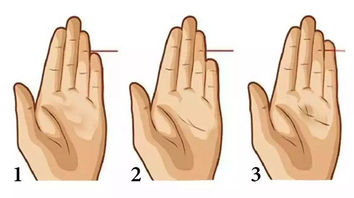 Parmaklarınız Sizi Ele Veriyor: Kişilik Analizi için Parmak Şekli Testi - Resim : 1