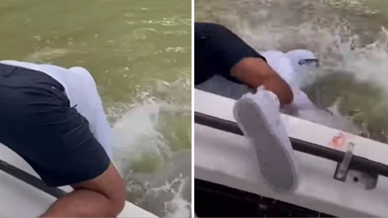 Köpek balığı adamın elini çekti suya böyle aldı! O anlar saniye saniye görüntülendi