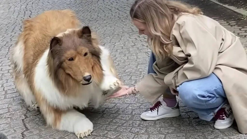 22 bin dolar verip köpek oldu: İnsan Köpek, 'hayvan olma' hayalini gerçekleştirerek sokakta ilk yürüyüşüne çıktı - Resim: 2