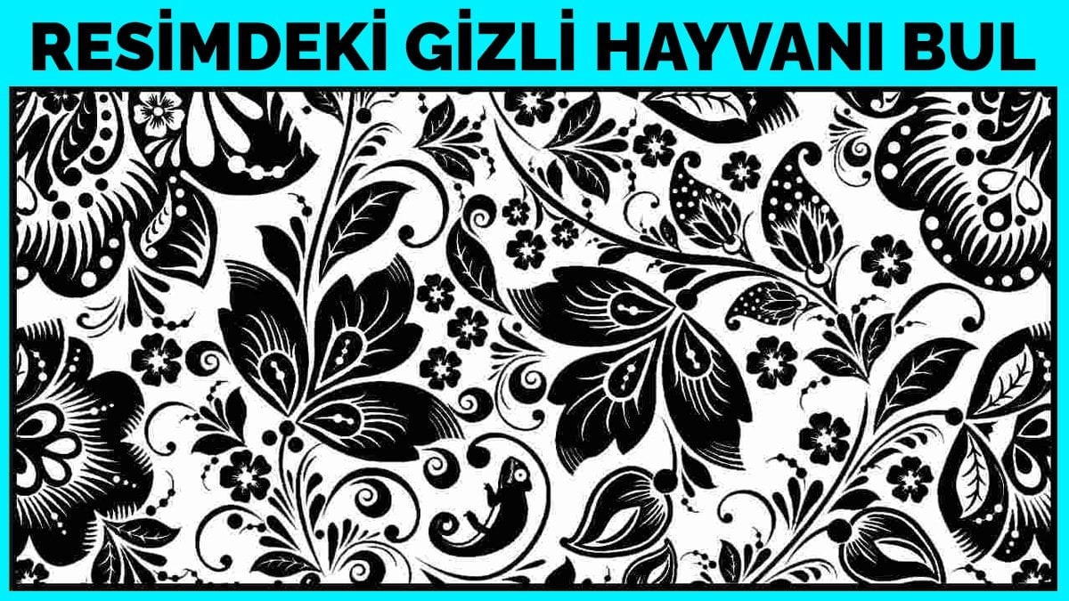 Resimdeki gizli hayvanı 20 saniyede bulabilir misiniz? İşte sizi zorlayacak bir görsel zekâ sorusu! - Resim : 1