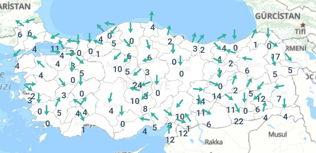 Tek Canlı Bırakmayacak! Aydın, Uşak, Çanakkale ve İzmirliler Diken Üstünde.. Mavi Felakete Acil Önlen Alınmalı! - Resim : 2