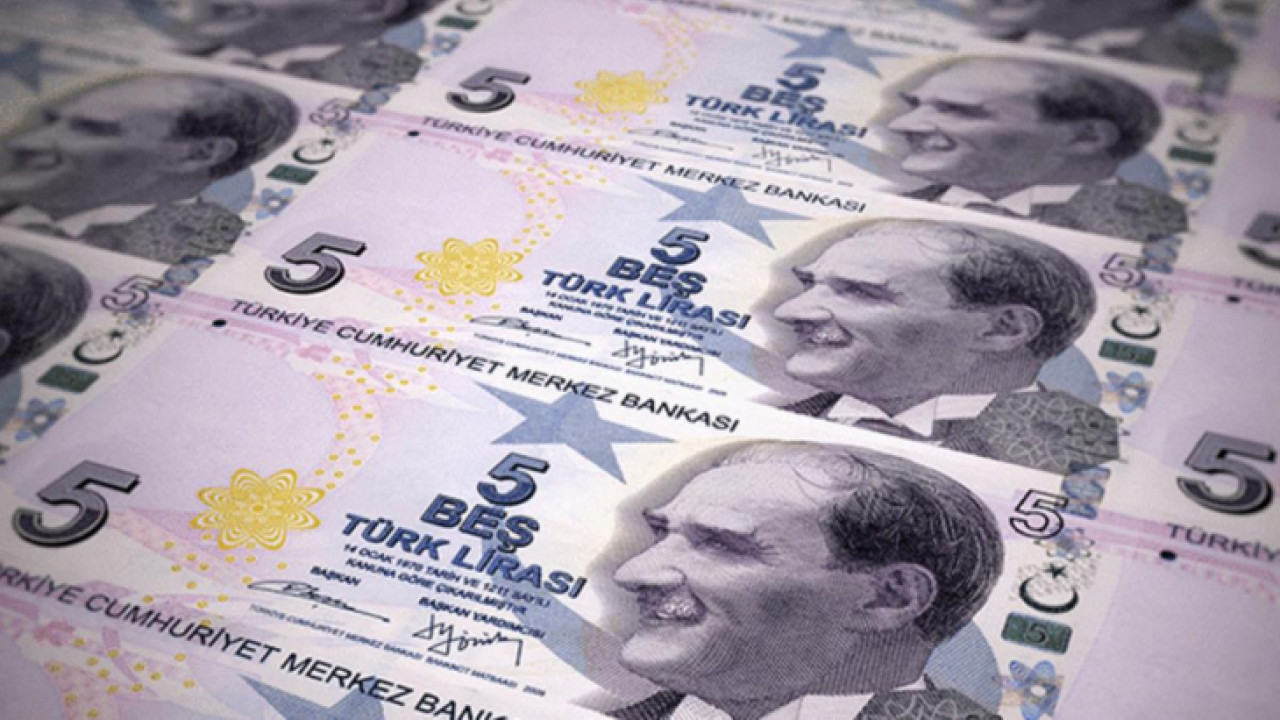 200 TL, 100 TL, 5 TL banknotlarla ilgili dikkat çeken veri: Hafize Gaye Erkan ‘Daha yüksek banknot üzerinde çalışmıyoruz' demişti! - Resim : 4
