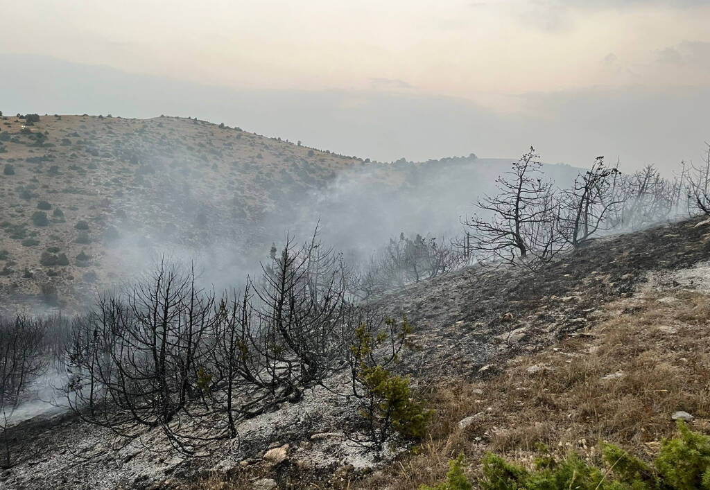 Türkiye alev alev: Orman yangınlarında büyük artış!  Ankara, Afyon, Denizli Bingöl, Eskişehir, Bolu ve Antalya'daki her yer yanıyor! - Resim : 1