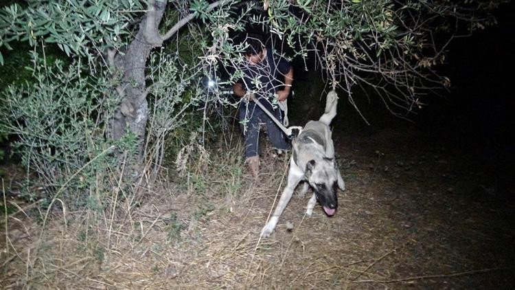 Gözlerini Kırpmadan Nöbet Tutuyorlar! Tarlada Milyon Değerindeki Nöbet - Resim : 2