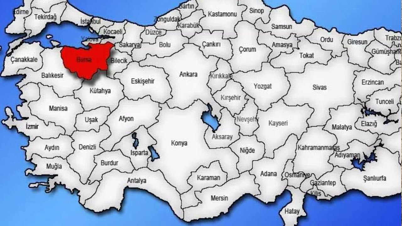 Bursa'da endişe verici durum: Gizemli ölümler artıyor! Korkunç manzarıyı görenler küçük dillini yuttu Durum hayra alâmet değil