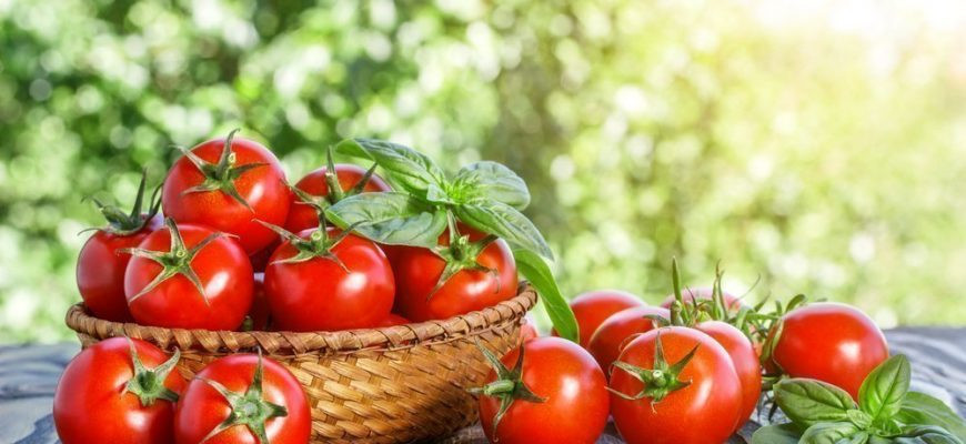 Buzlukta domates saklama yöntemi: Kışın da taze ve lezzetli domatesler nasıl hazırlanır? Kışın da yaz lezzetini yaşatan taze domatesler için ipuçları - Resim : 1