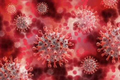 Kabus yeniden mi başlıyor? Koronavirüs tehlikesi yeniden yükseliyor: Pirola varyantı dünya sağlığını tehdit ediyor! - Resim : 2