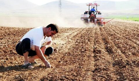 Tarımsal üretimde yeni dönem: Çiftçiler artık izin almak zorunda.. - Resim : 1